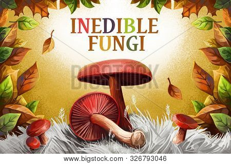 Inedible Fungi Cover Design With Poison Fungus Mushrooms And Autumn Leaves. Fall Season Digital Art 