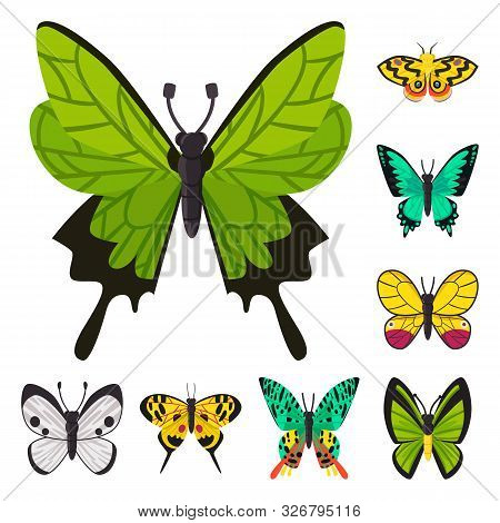 Isolated Object Of Nature And Summer Symbol. Set Of Nature And Animal Stock Vector Illustration.