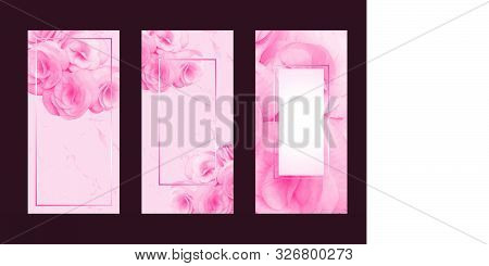 Romantic Cards Background Flower And Frame For Text Message Banner Cover Collection Vector Design