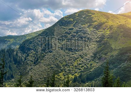 Summer Landscape In The Carpathian Mountains. View From The Mountain Peak Hoverla. Ukrainian Mountai