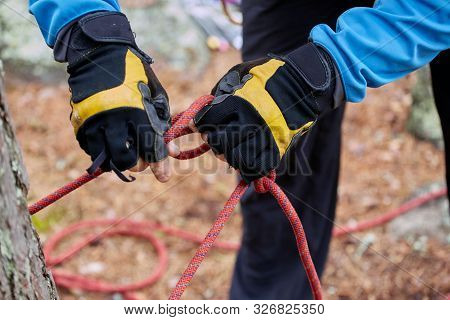 Male Hands With Gloves Of The Climber Checks Equipment Safety During The Preparation For The Descent