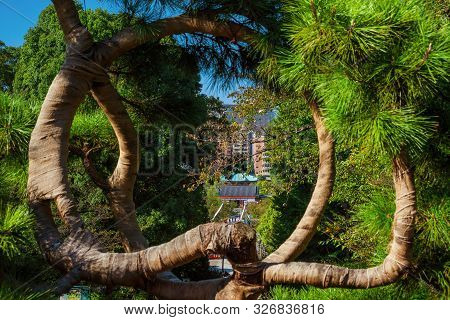 Tokyo, Japan - October 27: View Of Shinobazu Pond And Benten-do Temple Through The Circle Of Pine Tr