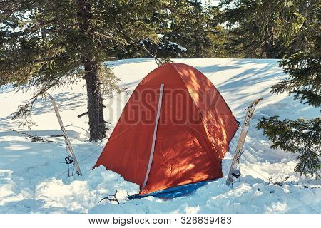 Touristic Tent In Winter Firry Forest In Ski Tour.
