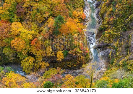 Aerial view of Autumn Fall Landscape of Forest and woods with river over Jogakura Ohashi Bridge in Aomori Tohoku Japan