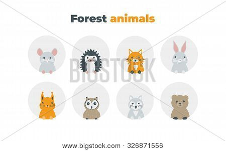 Forest Animals Set In Flat Style Isolated On White Background. Cute Cartoon Wild Animals Avatars Col