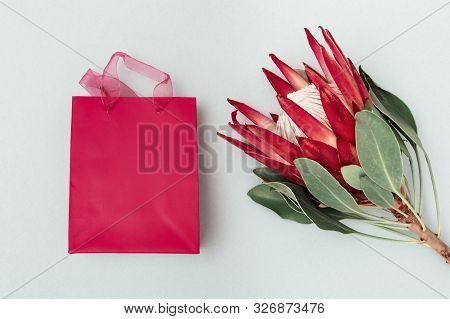Exotic Big Flower Protea With Red Petals And Bright Gift Box On Blue Paper Background. Holiday Conce