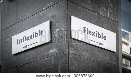 Street Sign The Direction Way To Flexible Versus Inflexible