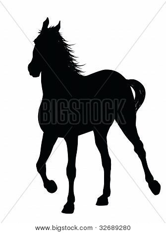 Vector paard