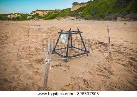 Turtle Nest. Loggerhead Sea Turtle Nesting Site. Special Constructions Protected Turtles Egg On Gera