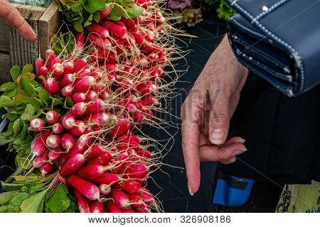 An Elderly Hand Is Seen Close-up, Selecting A Bundle Of Fresh Radishes (raphanus Raphanistrum) At A 
