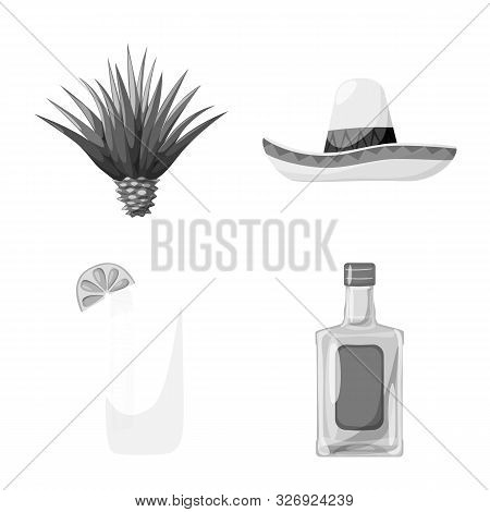 Vector Illustration Of Fajita And Fiesta Logo. Set Of Fajita And Celebration Vector Icon For Stock.