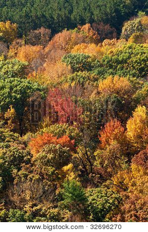 ปีศาจเลคพาร์ครัฐ Baraboo วิสคอนซิน
