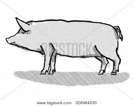 Retro Cartoon Style Drawing Of A Tamworth Sow Or Boar, A Pig Breed Viewed From Side On Isolated Whit