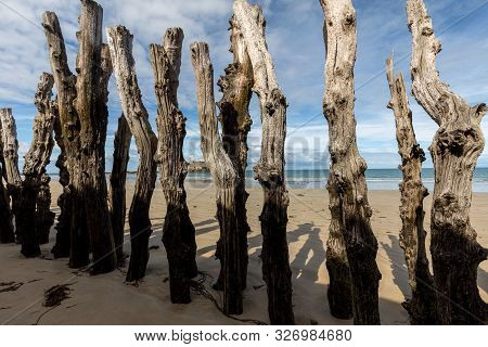 Big Breakwater, 3000 Trunks To Defend The City From The Tides, Plage De L Eventail Beach In Saint-ma