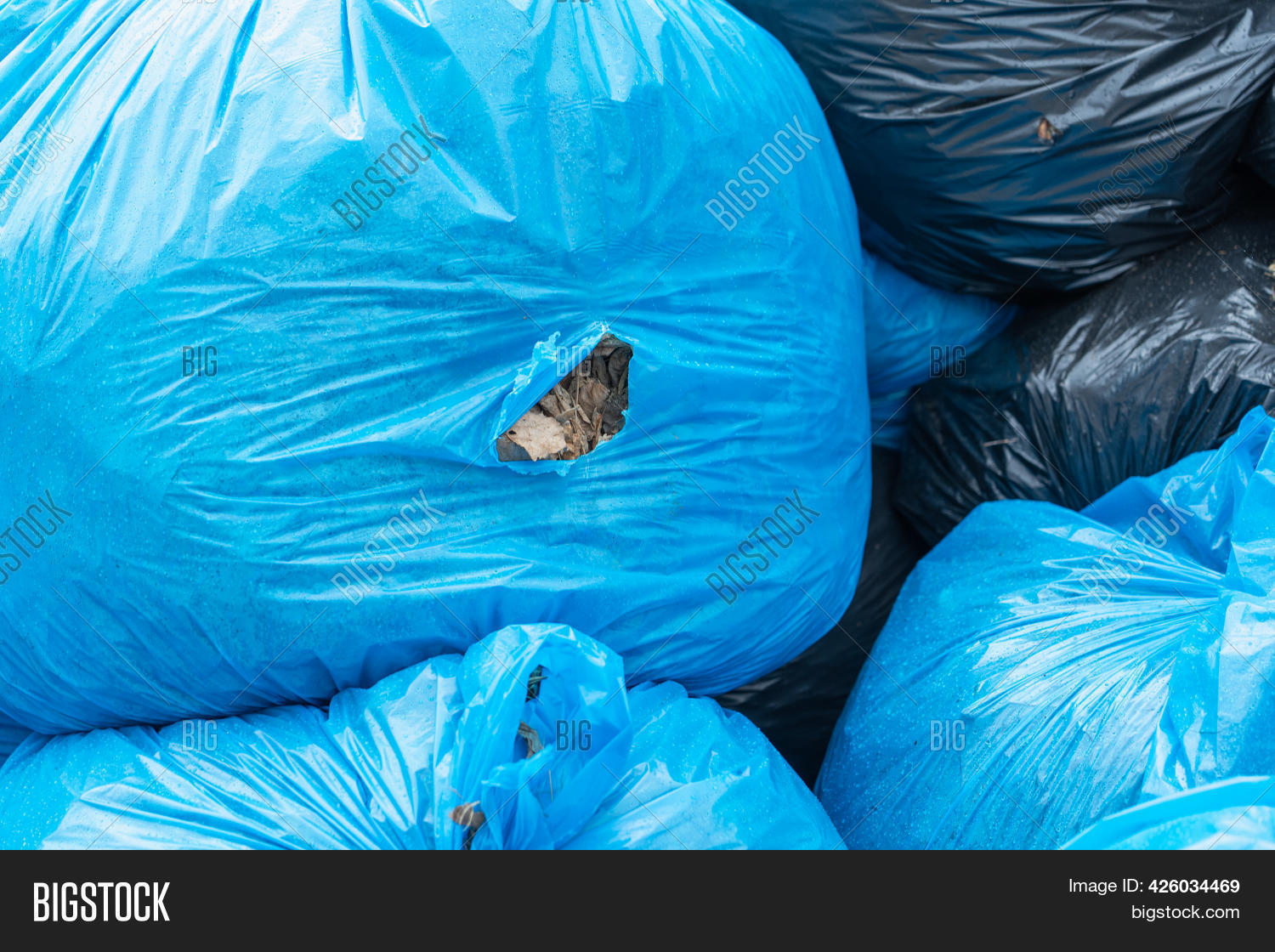 Torn Blue Trash Bag Image & Photo (Free Trial) | Bigstock