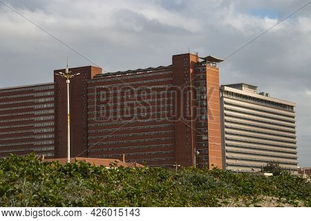 Dune Rehabilitation At Durban With Addington Hospital In Background