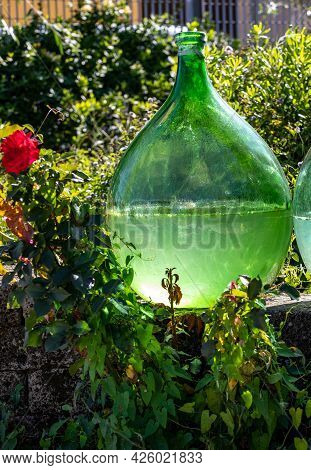 Demijohn Wine Bottles At Vineyard Of The Prosecco Sparkling Wine Region In Valdobbiadene, Italy.