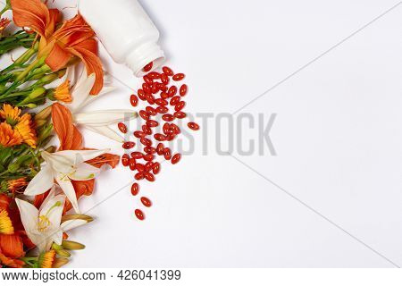 Banner With Bioadditive Tablets And Medicinal Plants With Place For Text Copy Space. Lutein, Herbal 