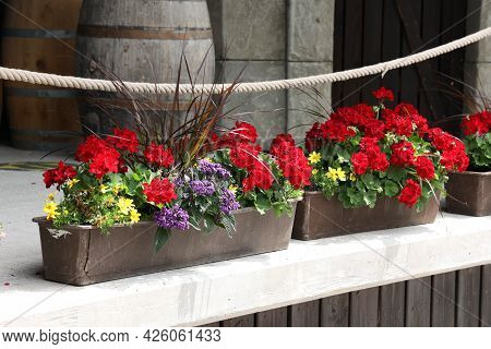 Pots With Geraniums And Other Flowers Are On The Terrace