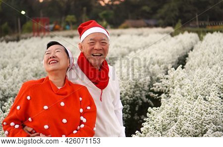 Asian senior eldery couple hug sweater celecrate Christmas and New Year holiday morning in beautiful