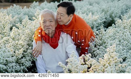 Asian Senior Eldery Couple Hug Sweater Celecrate Christmas And New Year Holiday Morning In Beautiful