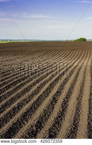 Deep Furrows To The Horizon In The Field After Plowing, Vertical Image