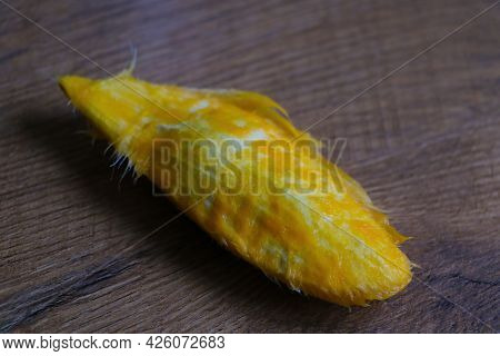 Mango Bone On The Table After Eating