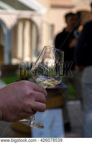 Tasting Of Dry Burgundy White Wine Made From Chardonnay Grapes, Wine Tourisme To Burgundy Cote De Be