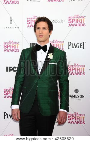 LOS ANGELES - FEB 23: Andy Samberg deltager 2013 Film Independent Spirit Awards på telt på t