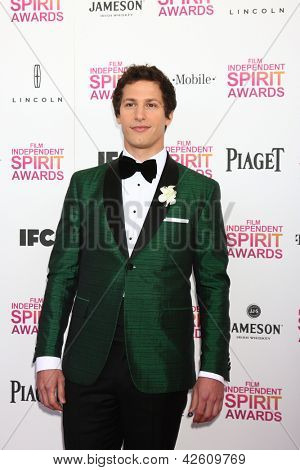 LOS ANGELES - FEB 23: Andy Samberg deltager 2013 Film Independent Spirit Awards på telt på t
