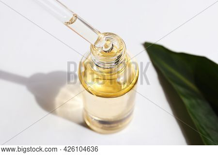 Bottle Of Cosmetic Essential Oil And Green Leaf. Serum Oil Is Dripping From Dropper. Close-up. Beaut