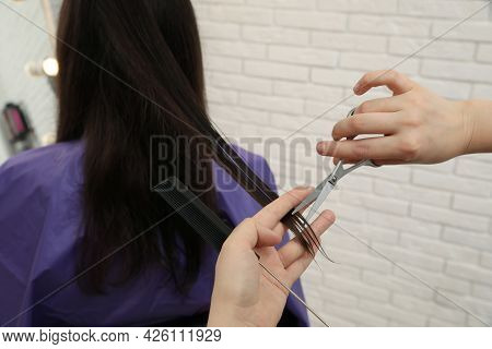 Professional Stylist Cutting Client's Hair In Salon