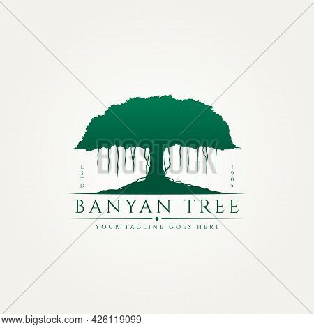 Banyan Tree Classic Silhouette Premium Logo Template Vector Illustration Design. Environment, Nature