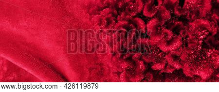 Colorful Red Fabric And Cockscomb Flower Velvet Texture Nature Banner Background