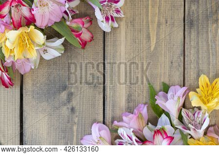 Background From Multi-colored Flowers With Copy Space. Multicolored Alstroemeria, Pink, Yellow, Mage