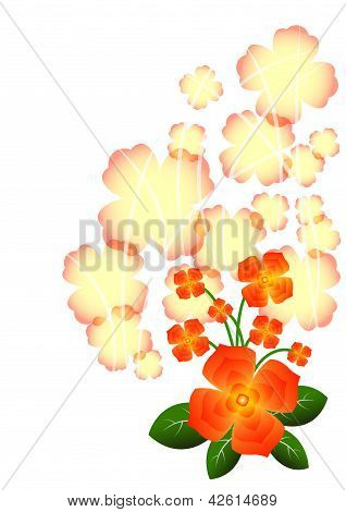 helle Sommer-Blume
