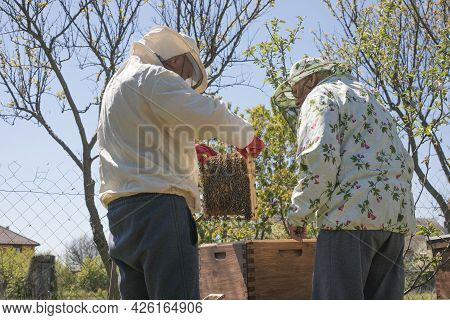 Beekeeper Is Working With Bees And Beehives On The Apiary. To Restack A Hive, To Sample A Colony Of 