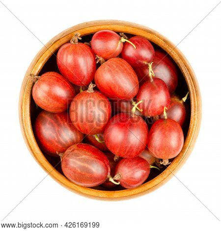 Red Gooseberries In A Wooden Bowl. Fresh And Ripe Berries, Fruits Of Ribes Uva-crispa, Also Known As
