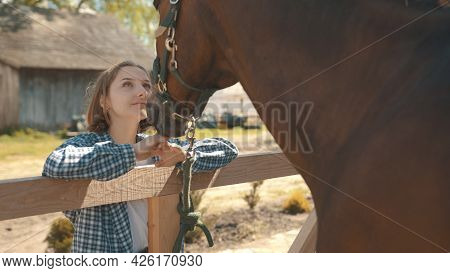 Young Girl Looking At Her Dark Bay Horse With Love. Girl Resting Her Hands On The Wooden Fence. Back