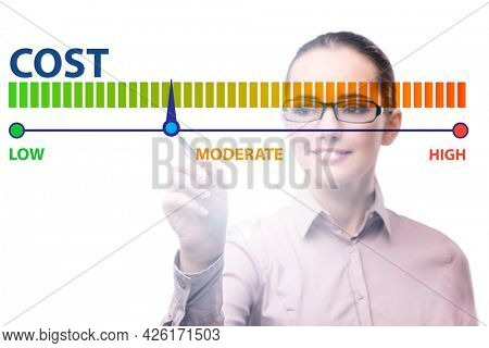 Businesswoman in cost management concept