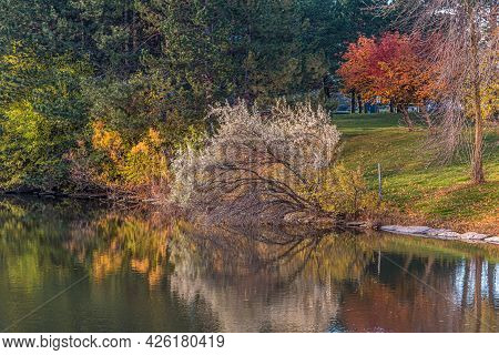 Color Trees Near The Pond In Fall. Markham, Canada