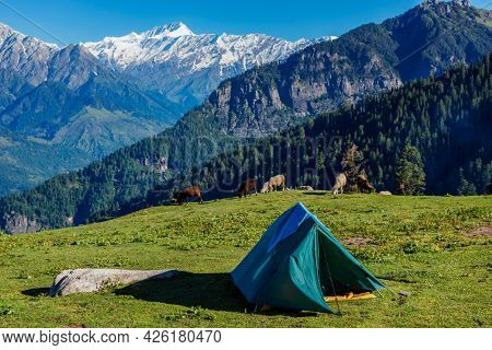 Tent in Himalayas mountains with flock of sheep grazing. Kullu Valley, Himachal Pradesh, India
