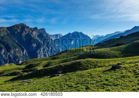 Spring meadow in Kullu valley in Himalaya mountains. Himachal Pradesh, India