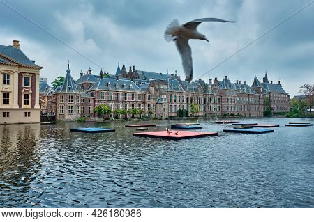 View of the Binnenhof House of Parliament and the Hofvijver lake and flying seagull. The Hague, Netherlands