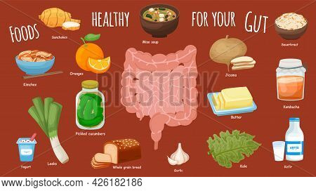 Top Foods For Gut Health. Healthy Products Collection.