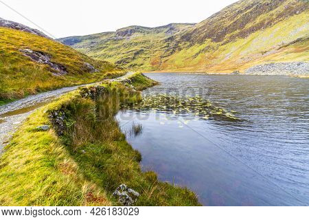 Lily Pads In Cwmorthin Lake In Hanging Valley.