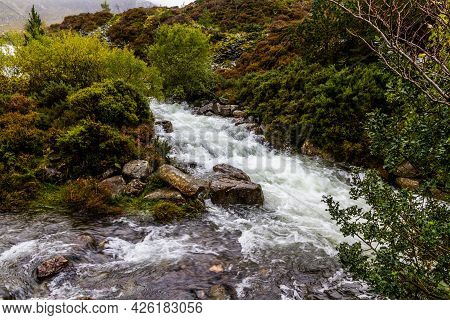 Mountain Stream After Storm