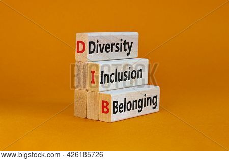 Dib, Diversity, Inclusion And Belonging Symbol. Wooden Blocks With Words Dib, Diversity, Inclusion A