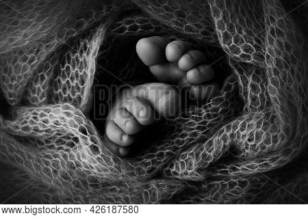 Feet Of A Newborn Close-up In A Woolen Blanket. Pregnancy, Motherhood, Preparation And Expectation O