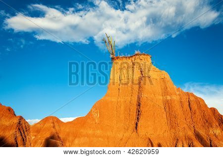 Red Hill és kaktusz